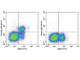 APC Anti-Human CD122/IL-2RB Antibody[TU27]