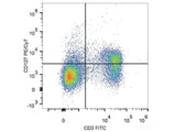 PE/Cyanine7 Anti-Human CD127/IL-7RA Antibody[A019D5]