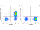 Elab Fluor® 488 Anti-Human CD127/IL-7RA Antibody[A019D5]