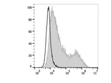 FITC Anti-Human CD134/OX40 Antibody[Ber-ACT35]