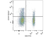 PE/Cyanine7 Anti-Human CD161 Antibody[HP-3G10]