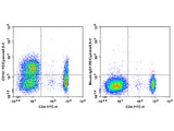 PE/Cyanine5.5 Anti-Human CD161 Antibody[HP-3G10]