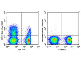 Elab Fluor® 647 Anti-Human CD161 Antibody[HP-3G10]