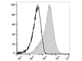 PE Anti-Human CD184/CXCR4 Antibody[12G5]