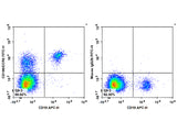 FITC Anti-Human CD196/CCR6 Antibody[G034E3]