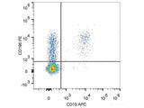 PE Anti-Human CD196/CCR6 Antibody[G034E3]