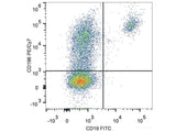 PE/Cyanine7 Anti-Human CD196/CCR6 Antibody[G034E3]