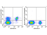 Elab Fluor® Violet 450 Anti-Human CD196/CCR6 Antibody[G034E3]