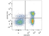 FITC Anti-Human CD197/CCR7 Antibody[G043H7]