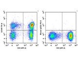 PE Anti-Human CD197/CCR7 Antibody[G043H7]