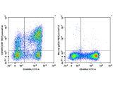 PE/Cyanine5 Anti-Human CD197/CCR7 Antibody[G043H7]