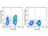 PerCP/Cyanine5.5 Anti-Human CD197/CCR7 Antibody[G043H7]