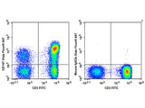 Elab Fluor® 647 Anti-Human CD197/CCR7 Antibody[G043H7]