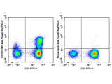 Elab Fluor® Red 780 Anti-Human CD197/CCR7 Antibody[G043H7]