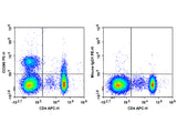 PE Anti-Human CD200/OX2 Antibody[OX-104]