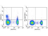 APC Anti-Human CD200/OX2 Antibody[OX-104]