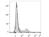 PE/Cyanine7 Anti-Human CD200/OX2 Antibody[OX-104]