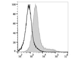 APC Anti-Human CD206/MMR Antibody[15-2]