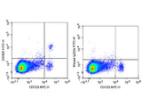 FITC Anti-Human CD303/BDCA-2 Antibody[201A]