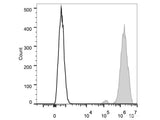 PE/Cyanine7 Anti-Human CD326/EpCAM Antibody[9C4]