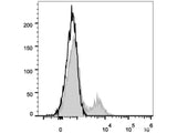 FITC Anti-Human CD39 Antibody[A1]