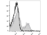 PE/Cyanine7 Anti-Human CD39 Antibody[A1]