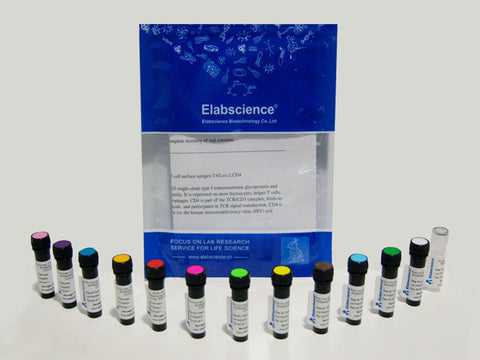 Elab Fluor® 488 Anti-Human CD39 Antibody[A1]