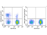 Elab Fluor® 647 Anti-Human CD39 Antibody[A1]