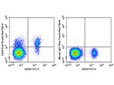 Elab Fluor® Red 780 Anti-Human CD39 Antibody[A1]