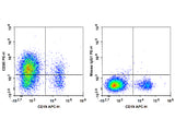 PE Anti-Human CD95/Fas Antibody[DX2]