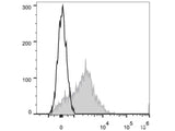 APC Anti-Human CD95/Fas Antibody[DX2]