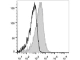 PE/Cyanine7 Anti-Human CD95/Fas Antibody[DX2]