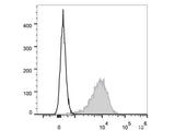 Elab Fluor® 647 Anti-Mouse CD14 Antibody[Sa14-2]
