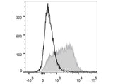 PE Anti-Mouse CD150/SLAM Antibody[TC15-12F12.2]