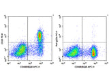 PE Anti-Mouse CD23 Antibody[B3B4]