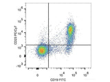 PE/Cyanine7 Anti-Mouse CD23 Antibody[B3B4]