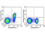 Elab Fluor® 647 Anti-Mouse CD23 Antibody[B3B4]