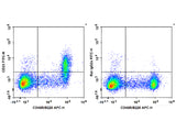 FITC Anti-Mouse CD23 Antibody[B3B4]