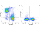 FITC Anti-Mouse CD24 Antibody[M1/69]