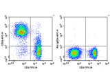 APC Anti-Mouse CD24 Antibody[M1/69]