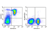 PE Anti-Mouse CD24 Antibody[M1/69]