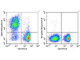 PE/Cyanine7 Anti-Mouse CD24 Antibody[M1/69]