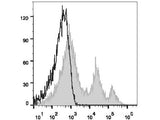 PerCP/Cyanine5.5 Anti-Mouse CD24 Antibody[M1/69]