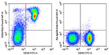 Elab Fluor® 647 Anti-Mouse CD24 Antibody[M1/69]