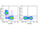 Elab Fluor® Violet 450 Anti-Mouse CD24 Antibody[M1/69]