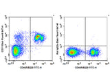 Biotin Anti-Mouse CD31 Antibody[390]