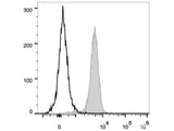 PerCP/Cyanine5.5 Anti-Mouse CD31 Antibody[390]