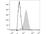 FITC Anti-Mouse CD31 Antibody[390]