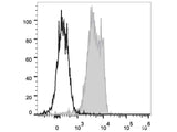 PE Anti-Mouse CD31 Antibody[390]