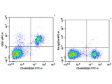 APC Anti-Mouse CD31 Antibody[390]